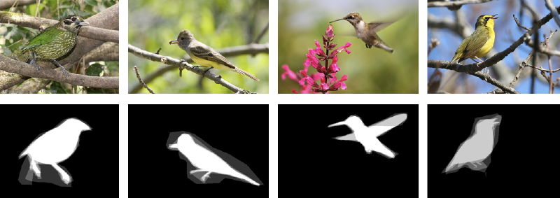 CUB-200-2011 bird dataset examples showing four bird photographs in the top row with their corresponding binary foreground-background segmentation masks below, where white silhouettes represent the bird regions against a black background